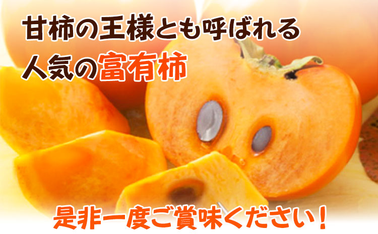【先行予約】〈ご家庭用〉和歌山産 富有柿 約 7.5kg 厳選館 《2025年11月上旬-12月下旬頃出荷》 和歌山県 日高川町 柿 カキ かき ジューシー フルーツ(F)