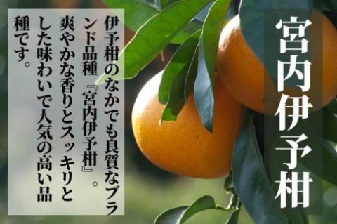 三種の みかん 食べ比べ箱 甘平 はるか 宮内伊予柑 （家庭用）約2.8kg ＜2025年2024年2月頃発送＞