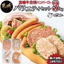 【ふるさと納税】宮崎牛合挽ハンバーグとバラエティ3kgセット - ジューシーな合挽ハンバーグ(160g×10) ブランドポーク 観音池ポークの豚バーグ(100g×8個) トンバーグ ベーコン チーズ入りフランク 送料無料 AD-1501【宮崎県都城市は2年連続ふるさと納税日本一！】