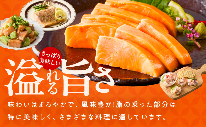 お刺身用 サーモン トラウト 1kg【小分け 約250g×4P ポーション ブロック 柵 訳あり サイズ不揃い さーもん 数量限定