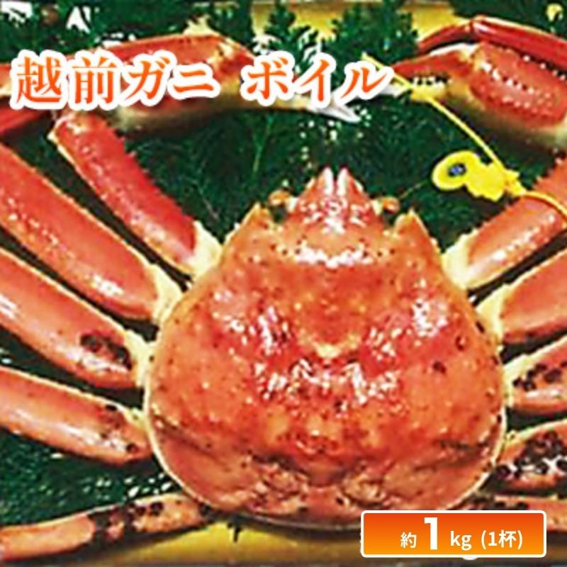 【ふるさと納税】かに 冷蔵 越前ガニ 約1kg ボイル ズワイガニ 冬の味覚の王様 海鮮 海産物 魚介類 ずわいがに カニ 蟹 福井県若狭町 松本水産　お届け：2026年11月10日～2027年3月20日