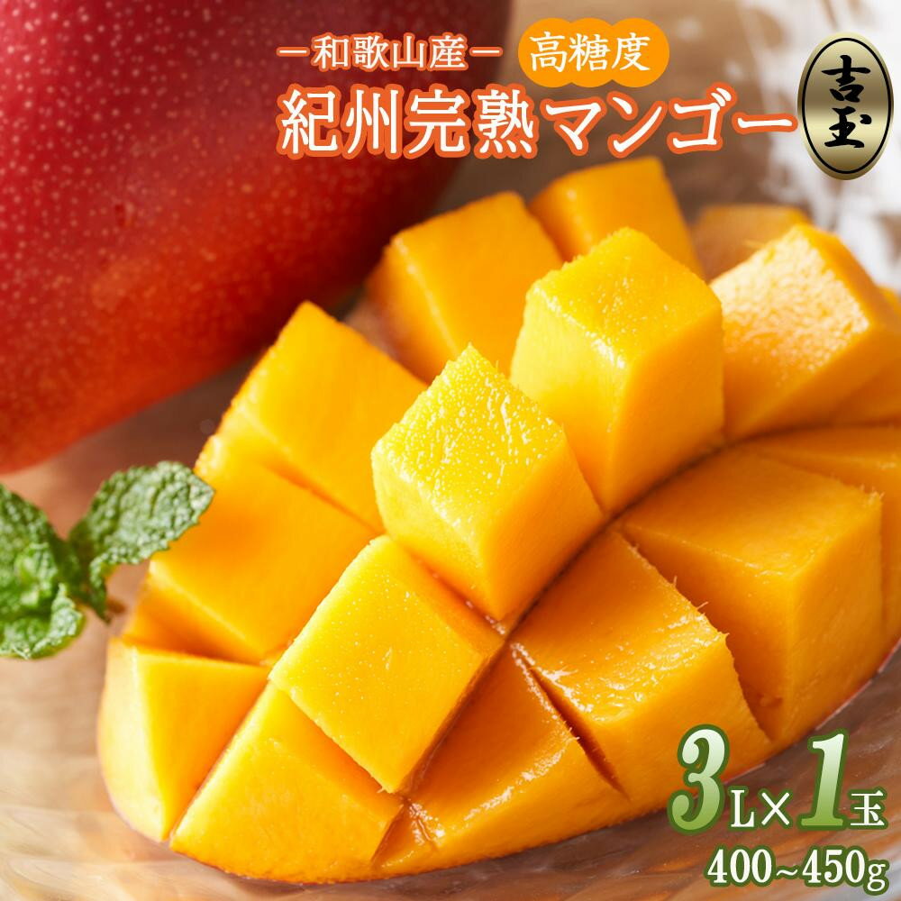 【ふるさと納税】【選べる容量】◆先行予約◆和歌山県産　紀州完熟マンゴー『吉玉』1玉入り/2玉入り/2～3玉(約1kg)［2026年7月下旬から8月下旬頃順次発送予定］ | 和歌山県 楽天ふるさと 納税 支援品 返礼品 お取り寄せ グルメ フルーツ 果物 くだもの マンゴー 完熟マンゴー