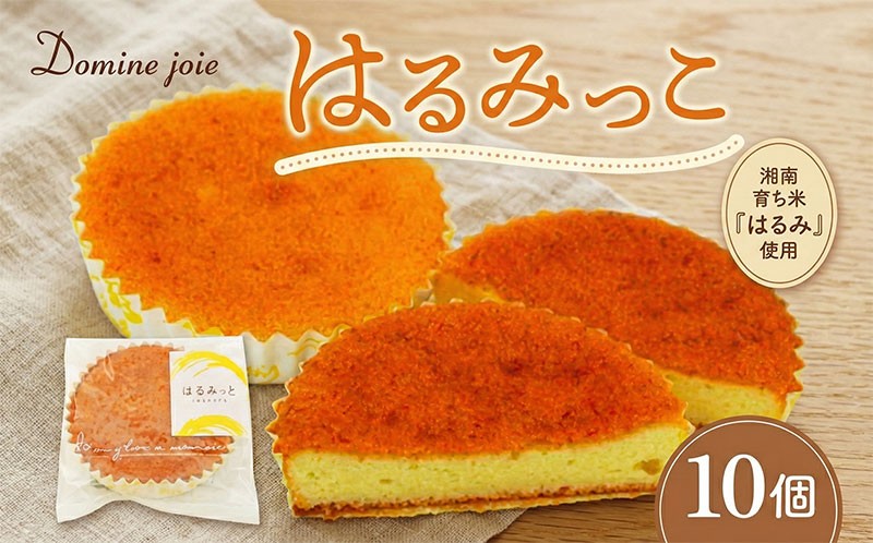
                  湘南育ち米 はるみ使用 はるみっこ 10個入り 米粉 コッコパラダイス 片倉牧場 ジャージー乳 蜂蜜使用 米粉使用 焼菓子 焼き菓子 お菓子 菓子 デザート スイーツ 個包装 小分け グルテンフリー お取り寄せスイーツ 送料無料 神奈川県 平塚市
                