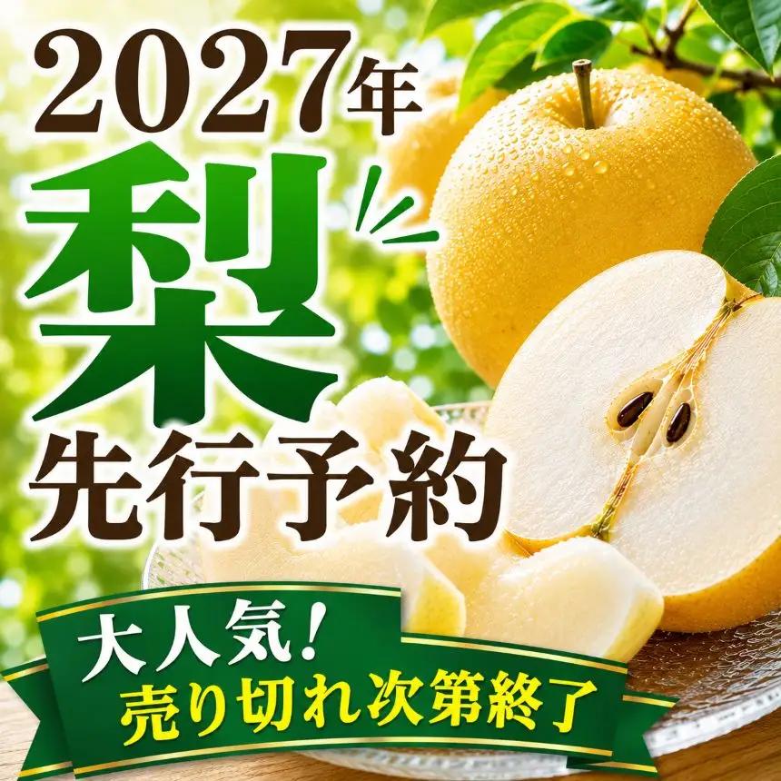 【2027年先行予約】あきづき 約5kg |【栃木県共通返礼品】あきづき 梨 なし ナシ 新品種 先行予約 大粒 新鮮 甘い 美味しい 果物 くだもの フルーツ ふるーつ 共通返礼品 フルーツ デザー