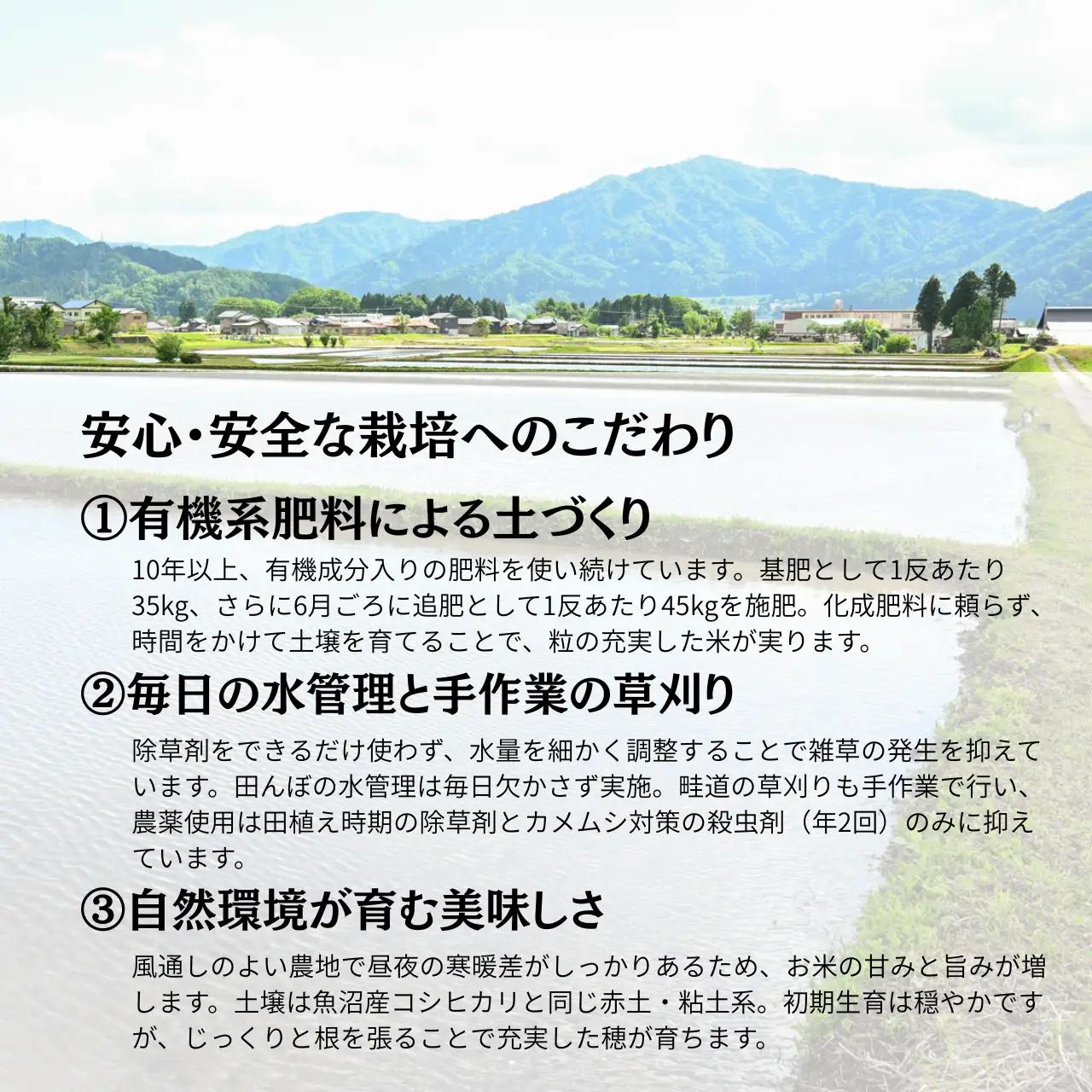米 令和7年産 コシヒカリ 精米  10㎏【B-102001】