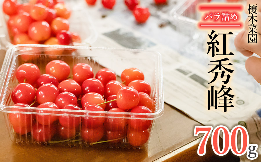 
                  【令和8年産先行予約】山形県 鶴岡市産 さくらんぼ 「紅秀峰」（2Lサイズ以上） バラ詰め　700g　榎本菜園　K-848
                