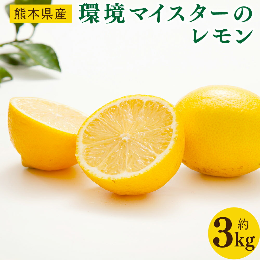 【ふるさと納税】環境マイスターのレモン サイズ混合 約3kg 24個前後 栽培期間中 無肥料 無農薬 レモン 檸檬 れもん 果物 国産 九州産 熊本県産 冷蔵 送料無料【2025年11月上旬‐2026年4月下旬迄順次発送予定】