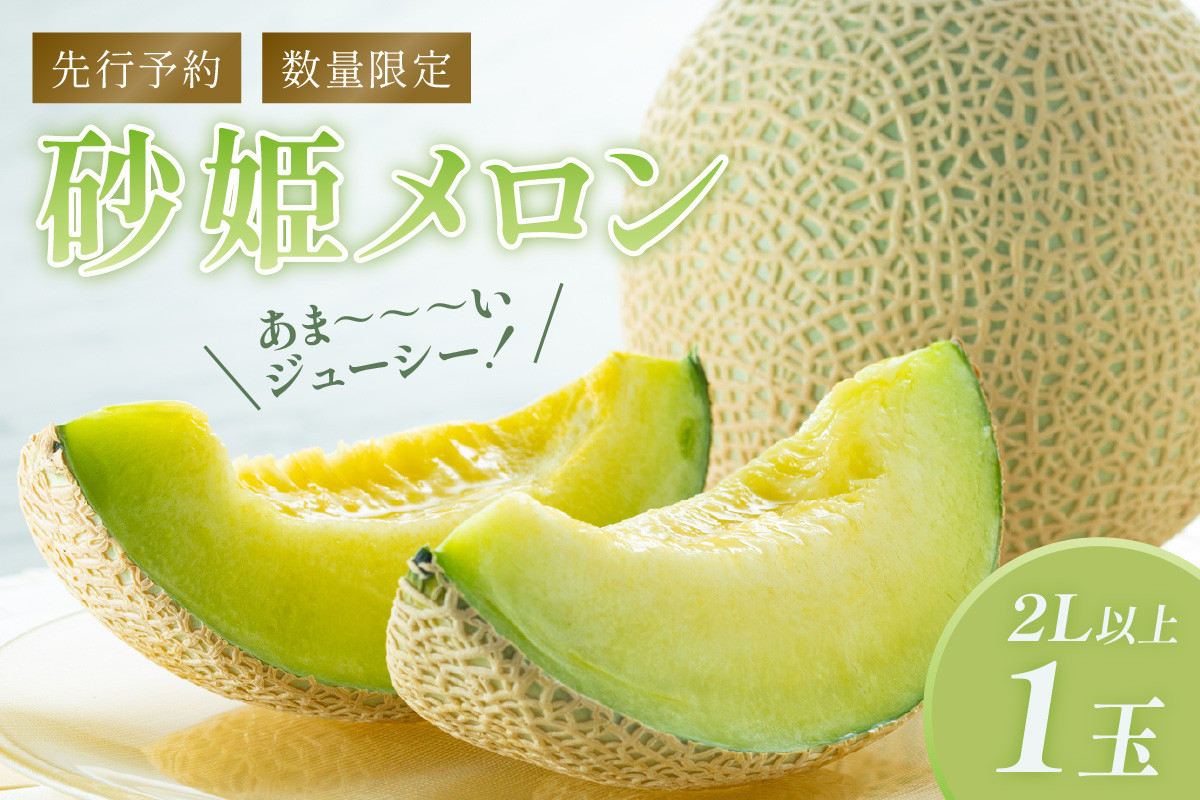 
            【先行予約／数量限定150】砂姫メロン1玉！大玉2L以上！女性に人気！（2026年6月下旬～発送）青肉メロン マスクメロン プリンスメロン　JK00027
          