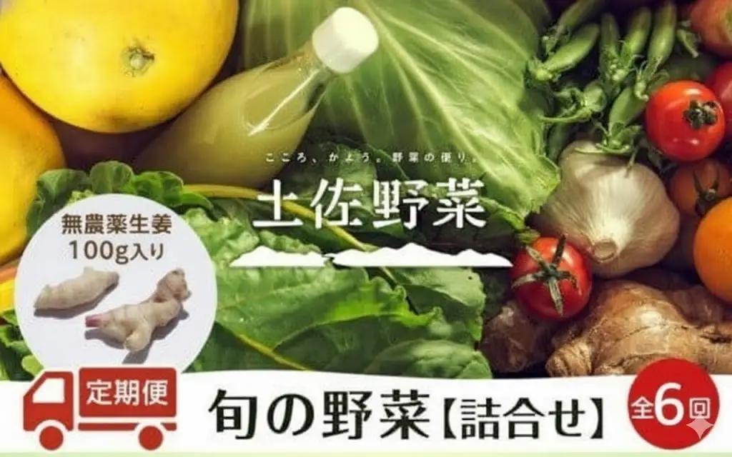 【生姜】 土佐野菜セット 無農薬生姜100g付き 6回定期便