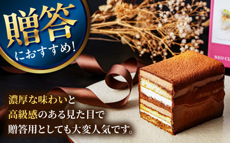 チョコレートケーキ 長崎石畳ショコラ ハーフサイズ2個 チョコケーキ [AHBS036]
