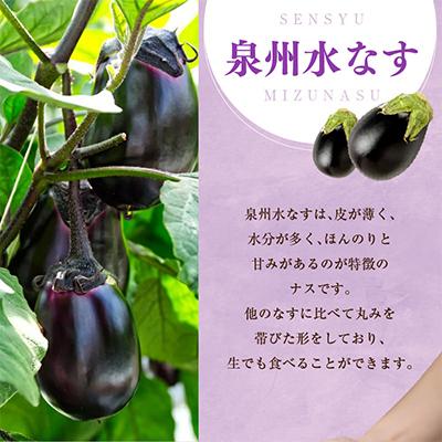 ふるさと納税 泉佐野市 泉州TONOファーム特選無添加水なす漬け8個 010B139 |  | 01