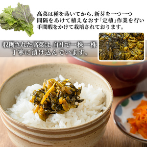 a568-A 九州産辛子高菜1kg(1kg×1パック)【九州新進】姶良市 国産 九州産 たかな 漬物 漬け物 ご飯のお供 おかず おつまみ おにぎり 常温 常温保存 1人暮らし
