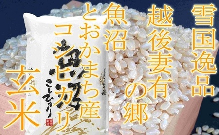 ●定期便・玄米●【雪国逸品2kg×12ヶ月】 越後妻有の郷 魚沼十日町産コシヒカリ