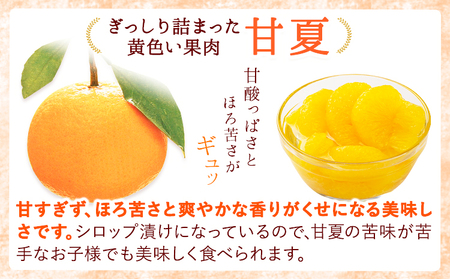 【12ヶ月定期便】デコポン・甘夏缶詰セット 計10缶入り《お申込み月の翌月より出荷開始》