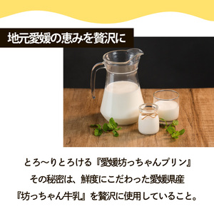 愛媛坊っちゃんプリン 6個セット なめらかプリン | プリン 洋菓子 保存料不使用 お菓子 スイーツ デザート 卵 たまご タマゴ ぷりん セット 詰め合わせ 土産 愛媛県 松山市 愛媛坊っちゃんプリ