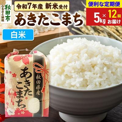 ふるさと納税 秋田市 先行受付《定期便12ヶ月》あきたこまち5kg 白米|15_kml-010512hs