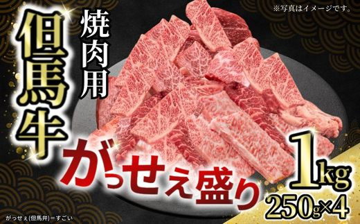 【但馬牛がっせぇ盛り 焼肉用計1kg（250g×4）冷凍】発送目安：入金確認後1ヶ月程度 配送日の指定はできません。 大人気 人気ふるさと納税 返礼品 おすすめ ランキング しゃぶ 牛肉 ステーキ しゃぶしゃぶ すき焼き 焼肉 但馬 神戸 兵庫県  但馬牛  27000円 72-24