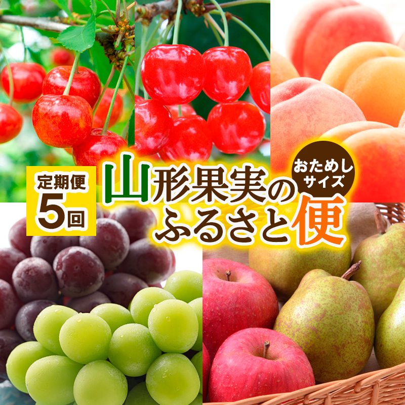 【定期便5回】山形果実のふるさと便 おためしサイズ【令和6年産先行予約】FS23-882