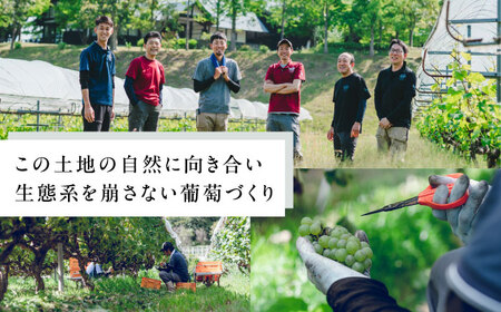 奥出雲葡萄園 【ギフト包装】 ぶどうジュース2本セット  国産 ジュース セット 島根県雲南市/有限会社奥出雲葡萄園 [AICS031]