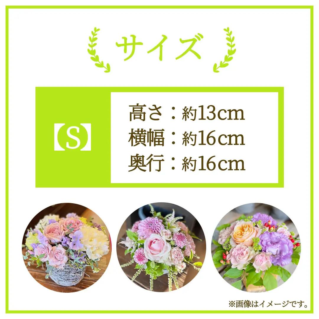 【12ヶ月定期便】季節のフラワーアレンジメント＜S＞(BY013)