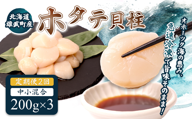 【定期便2回】　北海道雄武町産ほたて貝柱 中小混合 200g×3 (冷凍) 使い切りパック【07136】