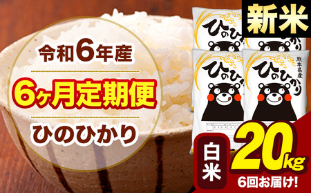 令和6年産 【6ヶ月定期便】 白米 米 ひのひかり 20kg《お申し込み月の翌月から出荷開始》熊本県 大津町 国産 熊本県産 白米 送料無料 ヒノヒカリ こめ お米