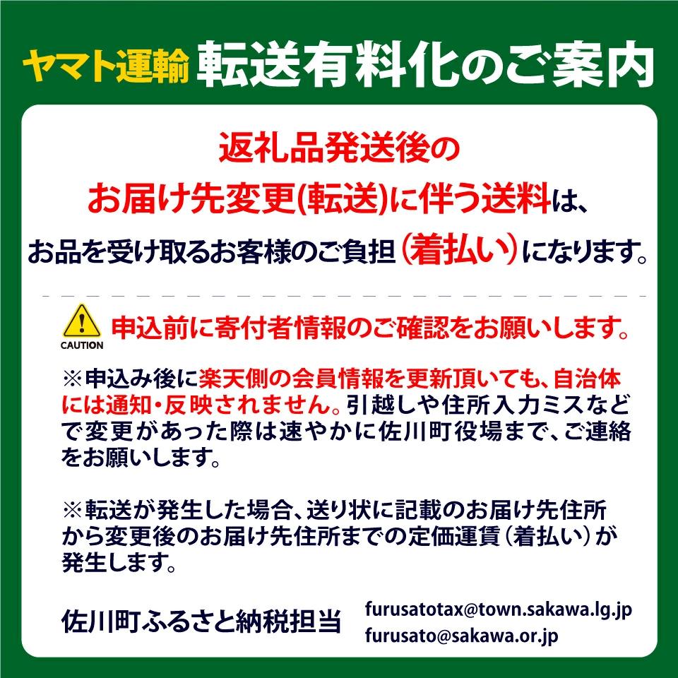 （全2回）佐川町産フルーツ 定期便 　いちご 梨