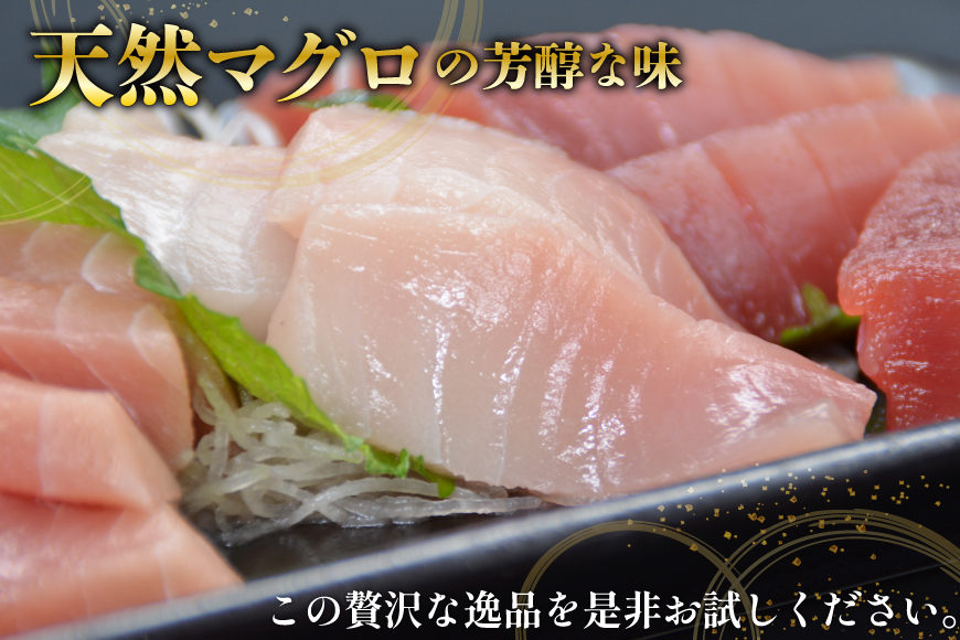 北かつのマグロ上質セット (マグロ中トロ 200g マグロ上質赤身 200g×2 メカジキ 200g びんちょう 200g）合計1kg [北かつ商事 宮城県 気仙沼市 20563511] 魚 鮪 マグ