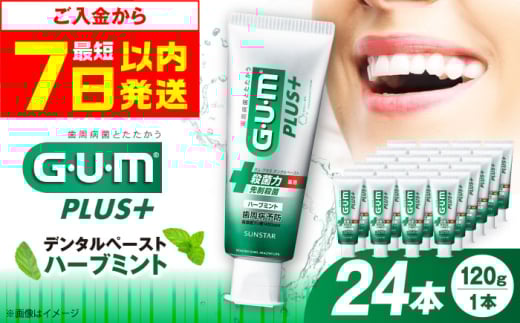 【最短7日以内発送】ガム・プラス デンタルペースト 120g×24本（ハーブミント） 歯磨き はみがき ハミガキ 歯磨き粉 歯みがき粉 歯ブラシ ハブラシ 薬用 医薬部外品 歯周病 虫歯 口臭 矯正 大容量 人気 定番 おすすめ 大阪府高槻市/サンスター[AOAD027]