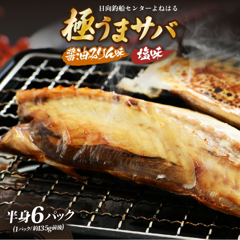 【ふるさと納税】【年内配送】干物 鯖一夜干し 極うまサバ 半身6パック （塩味1枚×3パック 醤油みりん味1枚×3パック）【 鯖 さば 日用 使い ひもの 冷凍 小分け 個包装 真空パック ご飯のお供 酒の肴 食べ比べ セット お弁当 惣菜 】 お買い物マラソン 買い回り[m17-a056]