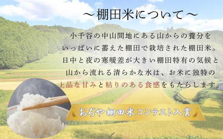令和7年産 魚沼産コシヒカリ ブランド認証米「錦の実り」Aランクと棚田米 食べ比べ10kg(5kg2袋)