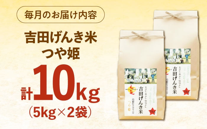 新米 つや姫 令和8年産 2026年産 白米 定期便
