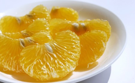 先行予約 甘夏 あまなつ みかん 5kg 吉田農園 甘夏 柑橘 みかん 果物 国産 みかん フルーツ 甘夏 蜜柑 オレンジ 甘夏 みかん 愛媛 甘夏 みかん 甘夏 愛南 甘夏 みかん 甘夏 みかん 甘