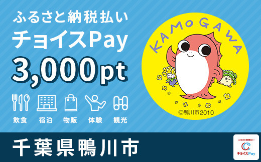 
鴨川市内の ご宿泊・お食事・体験施設で使える！鴨川市 チョイスPay 3,000ポイント（1pt＝1円）【会員限定のお礼の品】
