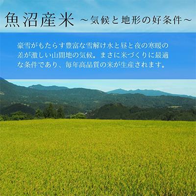 ふるさと納税 魚沼市 【毎月定期便】お米アドバイザー厳選!魚沼産コシヒカリ特別栽培米 精米計5kg全3回 |  | 01