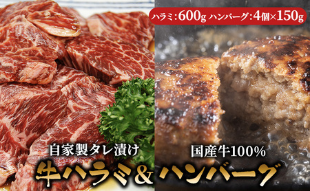 ハラミ たれ漬け 600g ハンバーグ 150g 4個 セット 詰め合わせ 味付け肉 タレ 真空パック 焼肉 バーベキュー アウトドア 弁当 おかず 牛ハラミ 冷凍 惣菜 煮込みハンバーグ お肉 肉 牛肉 牛 手作り ギフト 贈り物 大阪 柏原市 大阪府柏原市 