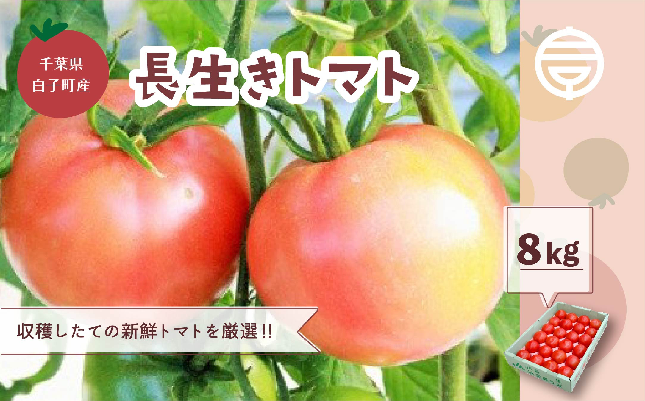 
                  千葉県長生トマト8kg ふるさと納税 トマト リコピン サラダ イタリアン 健康 美容 送料無料 SHK004
                