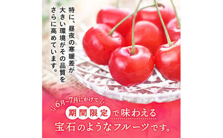 三関産 さくらんぼ 紅秀峰 500g (250g×2) 2L以上 さくらんぼ 秋田県産 小分け さくらんぼ 佐藤錦 さくらんぼ バラ詰め さくらんぼ フルーツ さくらんぼ[B5-14602]