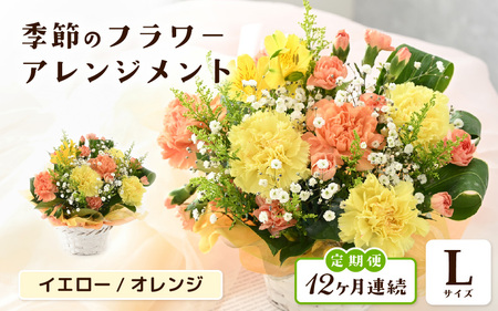 定期便 ≪12ヶ月連続お届け≫ 選べるカラー 季節のフラワーアレンジメント L (イエロー・オレンジ) 【お花 フラワー アレジメント 花束 ギフト 生花 プレゼント 花束 花 記念日 敬老の日 お祝い】 [O-20701_02]