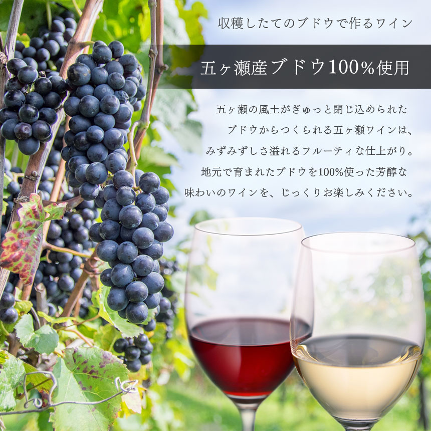 五ヶ瀬ワイン　樹樹(白・甘口・発泡タイプ)