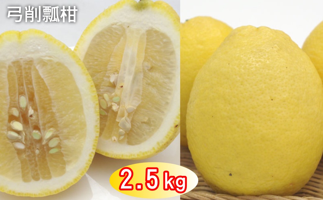 
                  太良町 山本農園の「弓削瓢柑（ゆげひょうかん）」 2.5kg
                