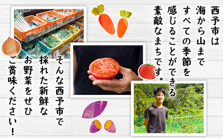 ＜せいよのうまいもんセット 3回定期便＞ 西予市産 愛媛県産 国産 旬 季節の野菜 やさい おまかせ 詰め合わせ 5～7品目 お楽しみ 特産品 百姓百品株式会社 愛媛県 西予市 【冷蔵】『1か月以内に
