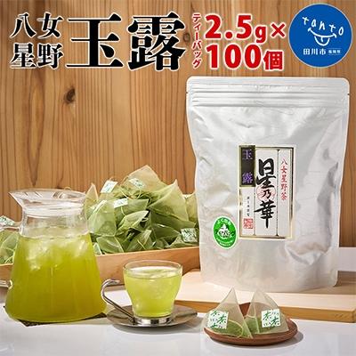 ふるさと納税 田川市 八女星野産 玉露ティーバッグ2.5g×100個(田川市)