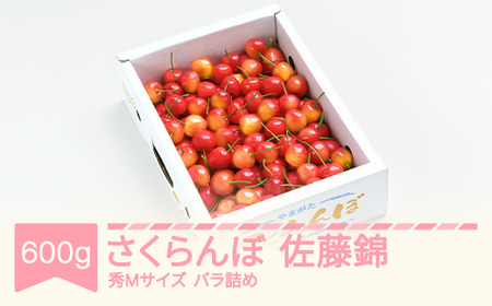 【先行予約】 さくらんぼ 佐藤錦 600g バラ箱 秀M 2026年産 令和8年産 山形県産 ※沖縄・離島への配送不可 ns-snsmb600
