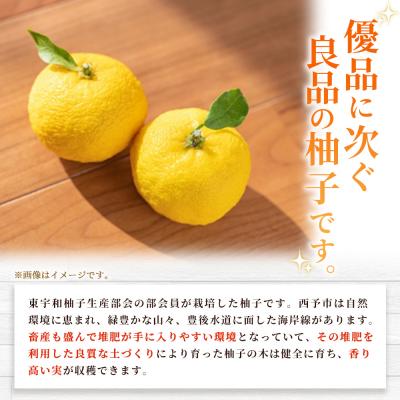 ふるさと納税 西予市 柚子 良 Sサイズ (24個入り) × 3箱> 約6kg ゆず ユズ 国産 柑橘 |  | 01
