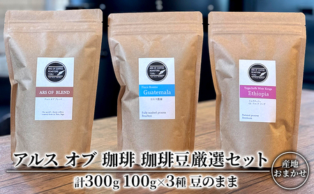 珈琲豆 厳選 セット 100g×3種 豆のまま コーヒー 珈琲 