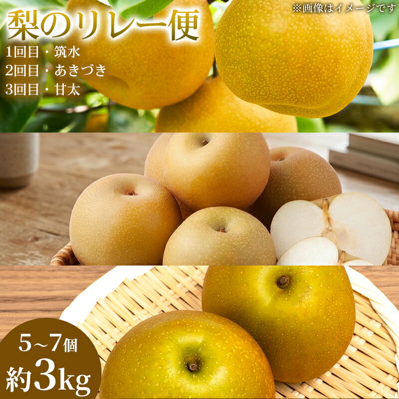 【ふるさと納税】【旬の梨を味わう】熊本県産 リレー便 (各5～7個 )(約3kg)(1回目)筑水(2回目)あきづき(3回目)甘太 梨 フルーツ 詰め合わせ 食べ比べ 甘い 濃厚 農家直送 ギフト 贈答用 家庭用 お取り寄せ 熊本県　お届け：2026年7月15日～2026年10月31日