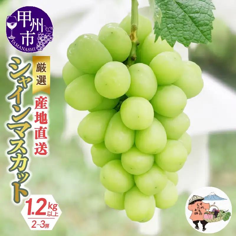 厳選！産地直送ぶどう「シャインマスカット」1.2kg以上（2～3房）【2026年発送】（KKH）B-491 シャインマスカット フルーツ