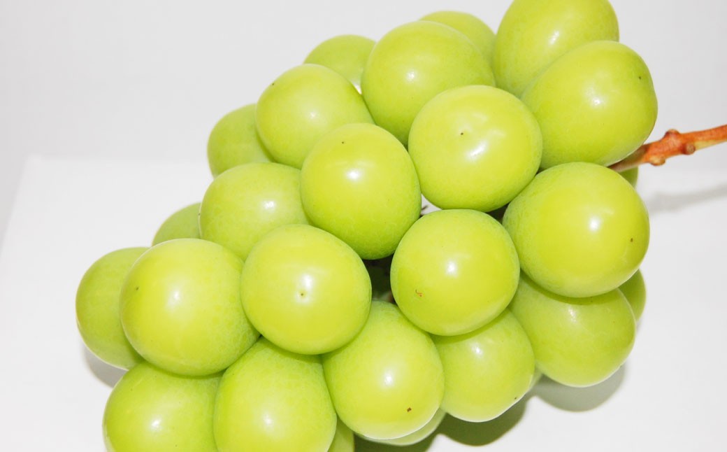 
            ご家庭用 シャインマスカット晴王（優品） 3房入り（1房 530g以上） 無加温栽培　【2026年9月上旬～10月下旬 発送予定】シャインマスカット マスカット フルーツ 岡山フルーツ おすすめフルーツ
          