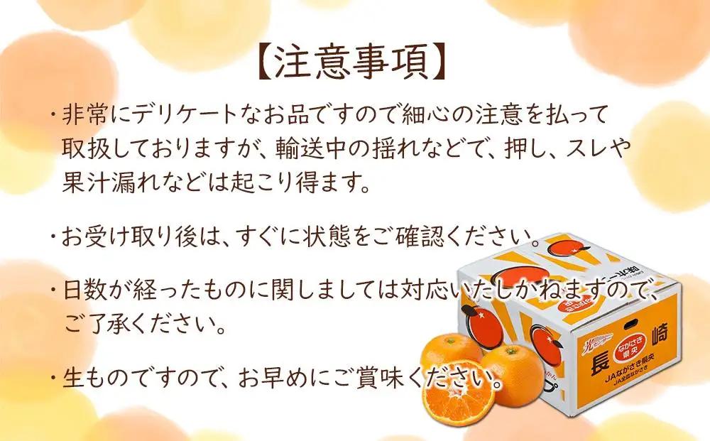 【糖度12度以上！】長崎県産 みかん 味ホープ 約10kg＜期間限定／先行予約＞【2026年11月中旬以降順次発送】｜みかん 柑橘
